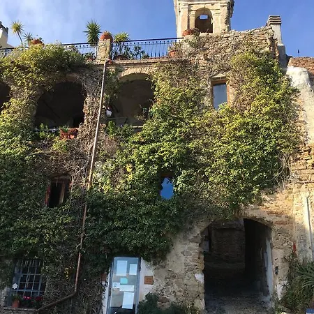 Pepiniere