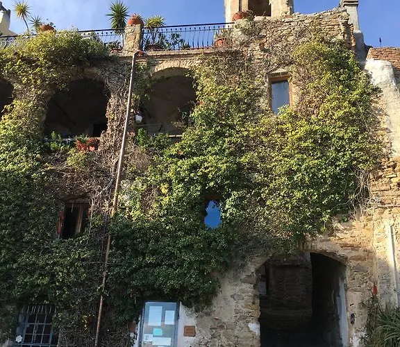 Pepiniere