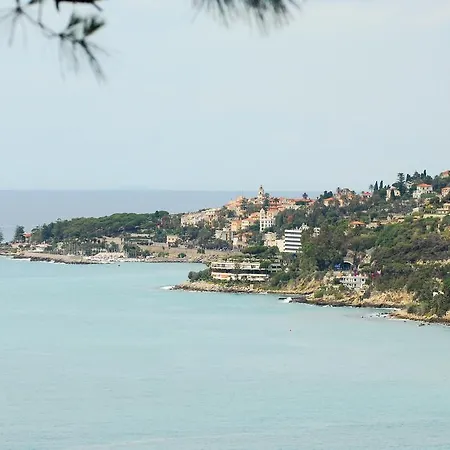 Pepiniere * أوسبيداليتي